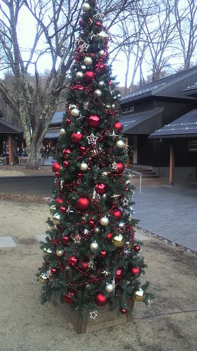 P1000033.JPG